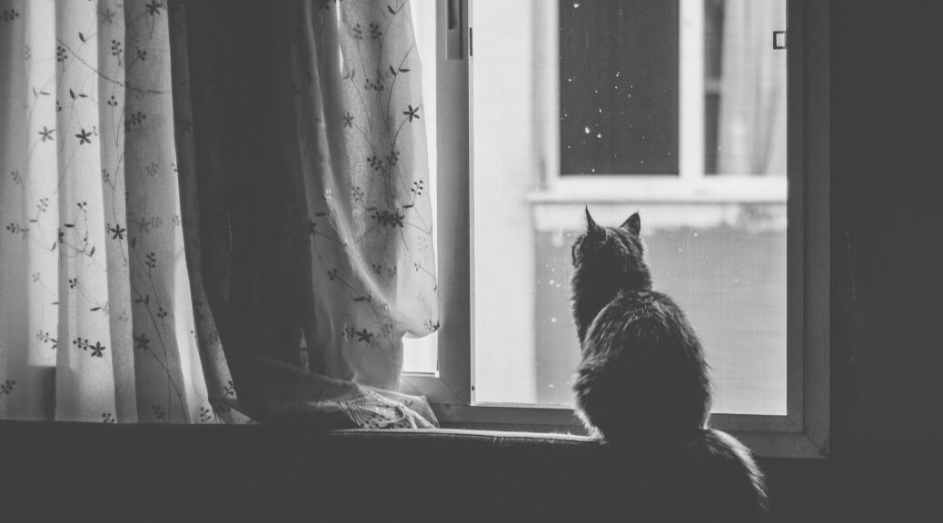 Was sind häufige Ursachen für Schimmel am Kunststofffenster?